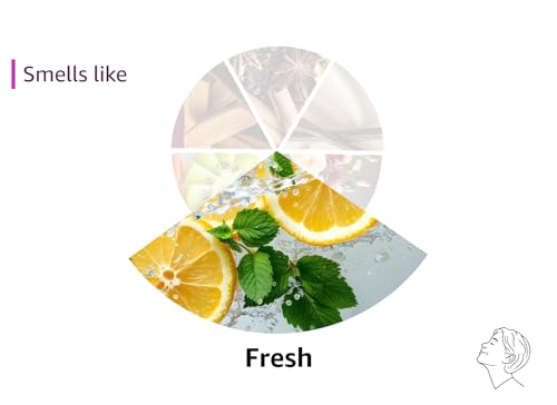 MAGNIFICENT 101 Sage Aromatherapy Candle for Meditation & Focus - 6 Oz Off - White Tin 35 - Hour Burn - Soy Wax, Palo Santo, Lavender & Sandalwood - Candles for Purifying & Energy Cleansing - Fredhappy