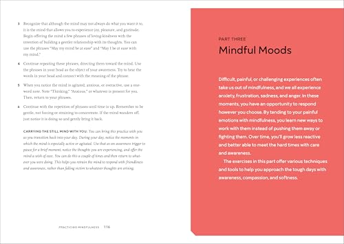 Practicing Mindfulness: 75 Essential Meditations to Reduce Stress, Improve Mental Health, and Find Peace in the Everyday - Fredhappy