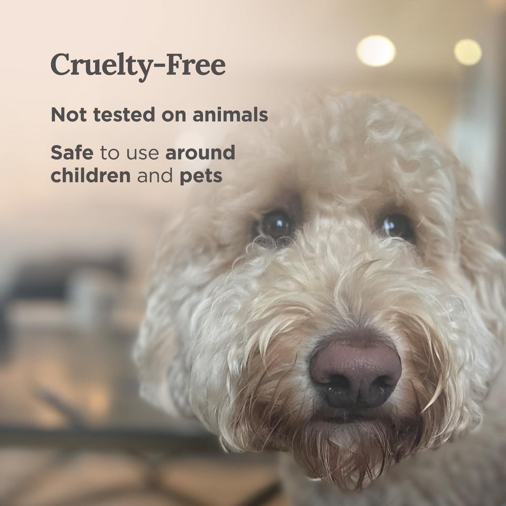 MAGNIFICENT 101 Sage Aromatherapy Candle for Meditation & Focus - 6 Oz Off - White Tin 35 - Hour Burn - Soy Wax, Palo Santo, Lavender & Sandalwood - Candles for Purifying & Energy Cleansing - Fredhappy