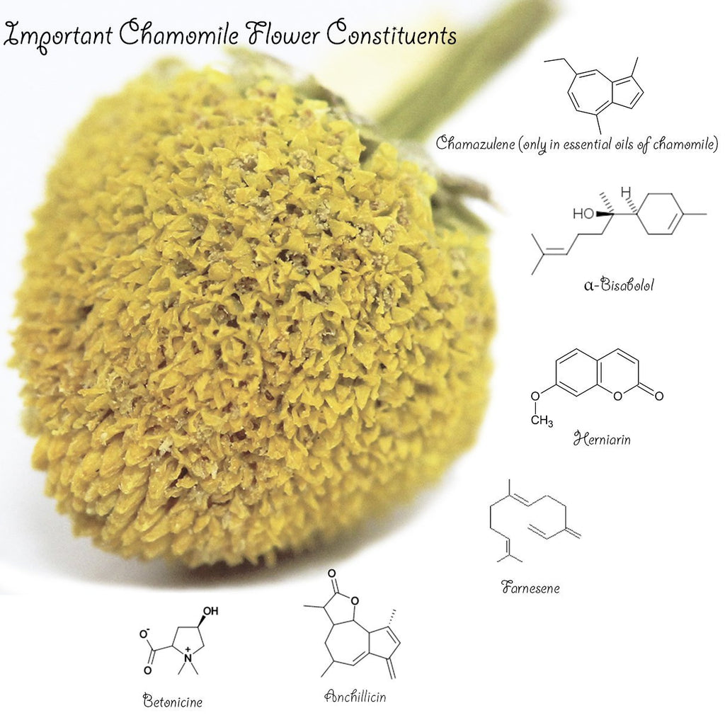 Chamomile Tea 1LB (16Oz) 100% CERTIFIED Organic (USDA seal) Chamomile Flowers Herbal Tea (Matricaria Chamomilla) in 1 lb Bulk BPA - free Resealable Bags from U.S. Wellness - Fredhappy