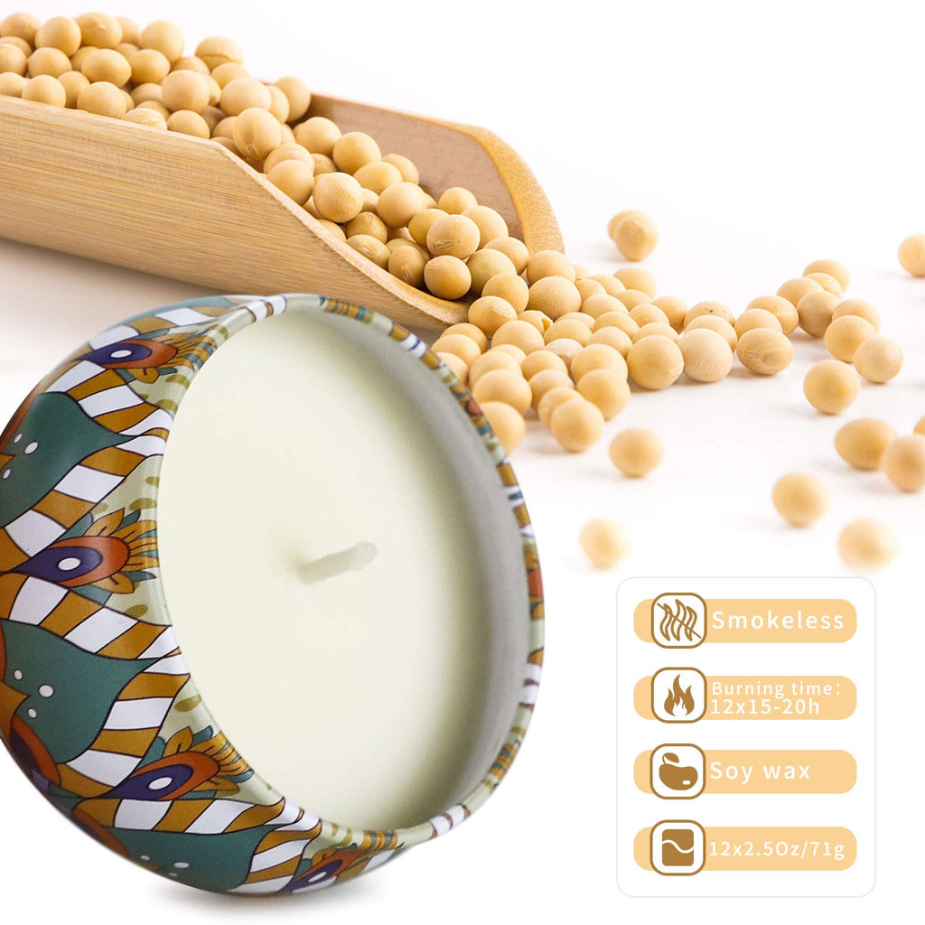 Scented Candles Gift Set,12 Pack Candles for Home Scented, 300 Hour Long Lasting Soy Wax Aromatherapy Candle Set, Birthday Gifts for Women with Gift Box - Fredhappy