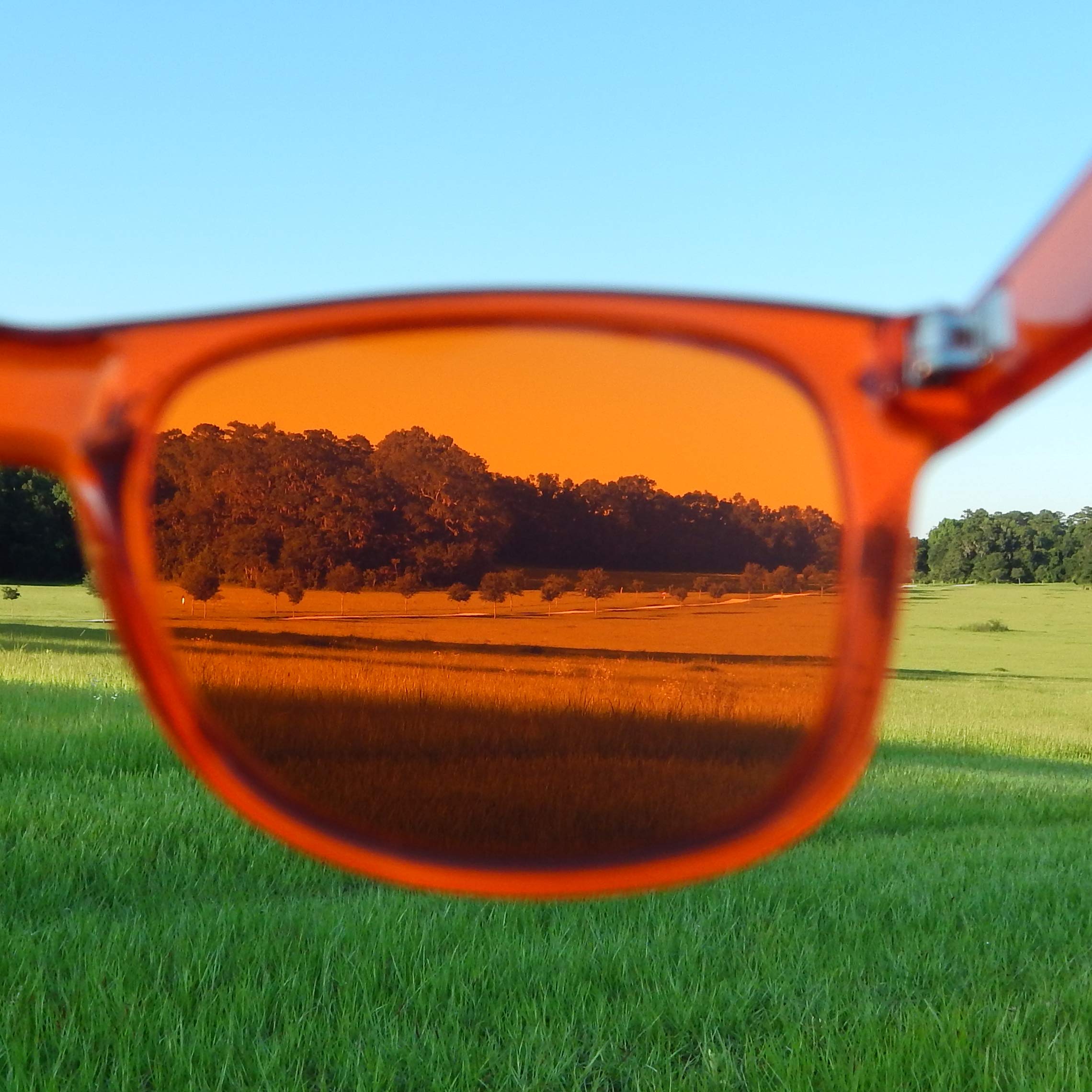 PURPLE CANYON Orange Color Therapy Glasses for Chakra Healing, Chromotherapy, and Mood - Fredhappy