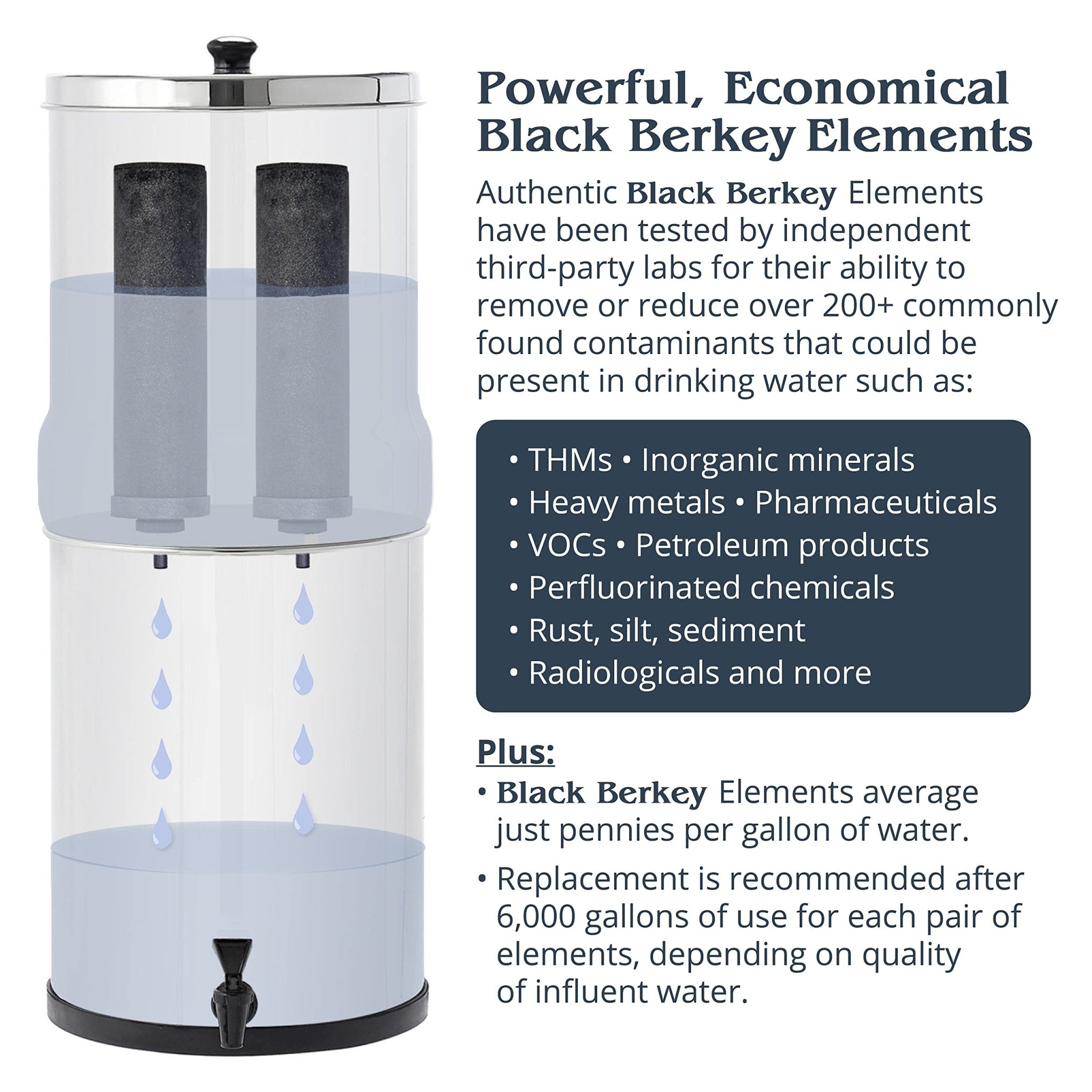 Big Berkey Gravity - Fed Water Filter System with 2 Black Berkey Elements Plus Deluxe 7" Stainless Steel Water View Spigot - Fredhappy