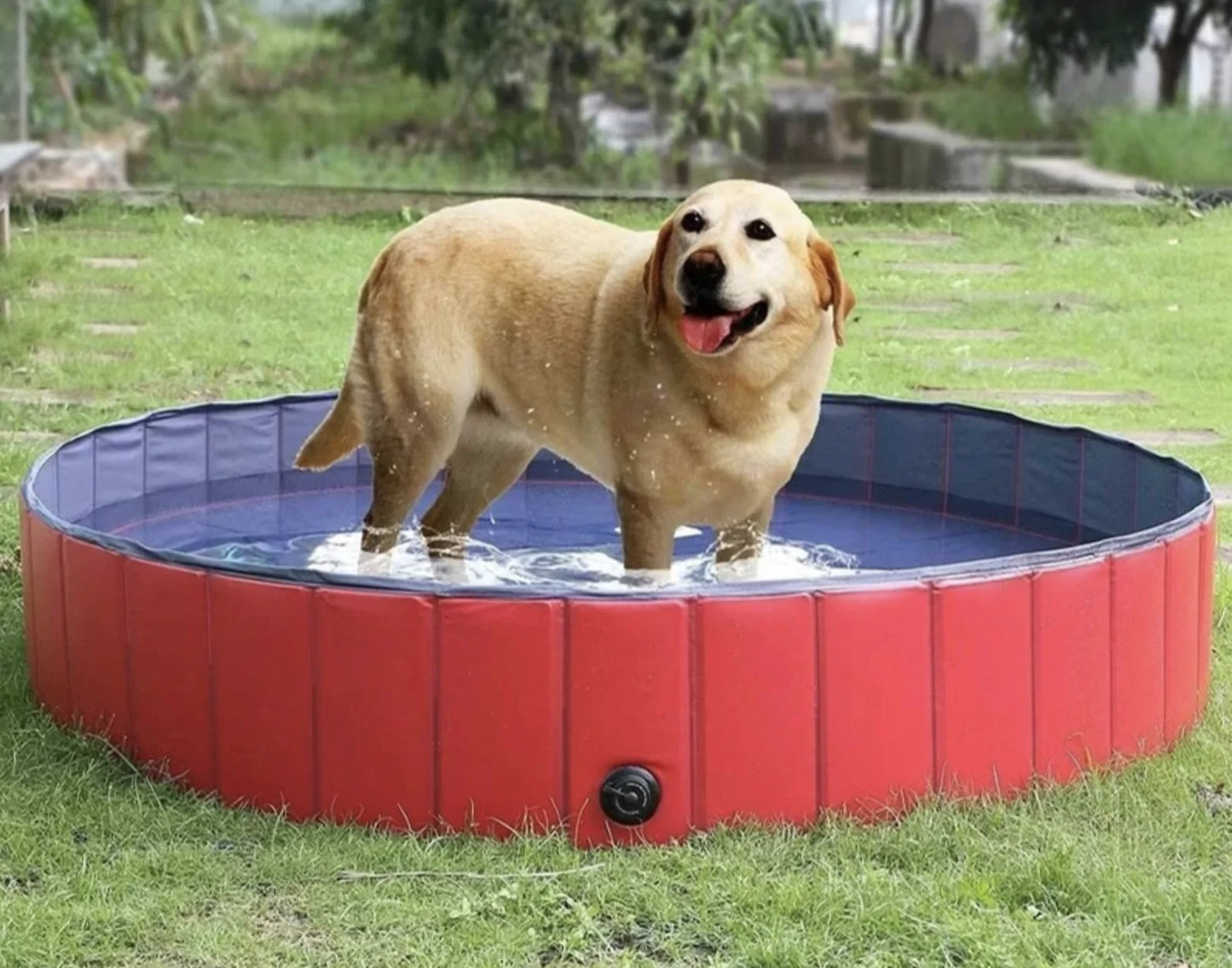 Foldable Swimming Pool Pet Bath